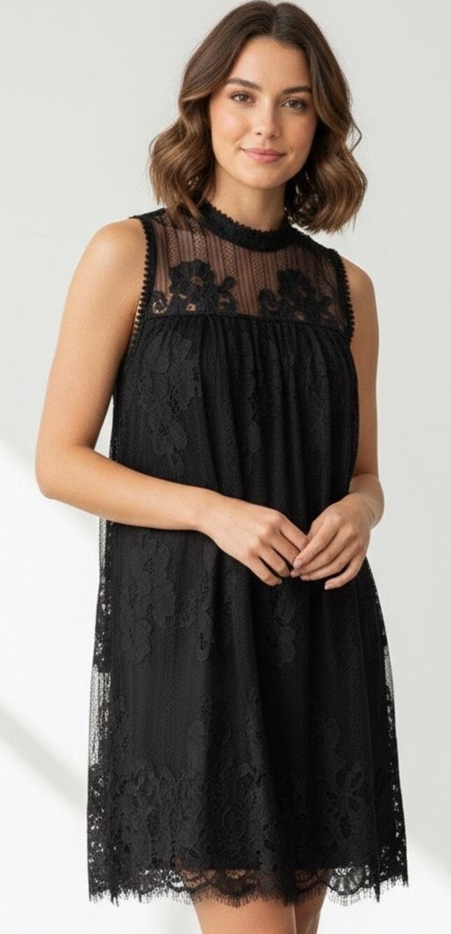 Francesca’s Coco + Jaimeson Black Lace Whimsigoth Mini Dress
